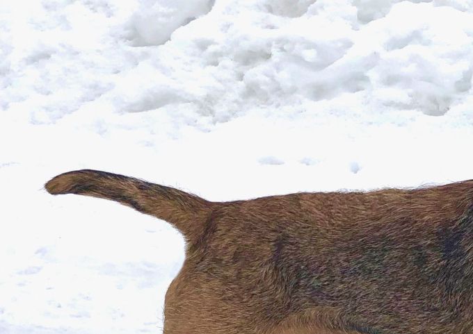 FI KVA LUT FI MVA EE MVA Gainsay Seckret Story uusimpia tähtiämme.
Rocky saavutti käyttövalion arvon vuonna -21. MEJÄ avo 1 ja 1 VOI 
Saavutti FI CH, EE CH arvot kesällä -22